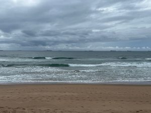 Journal 23 February 2023: Under The Sea